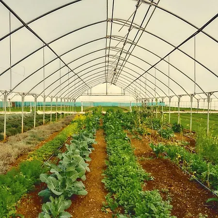 Casa Consalvo 폰테카냐노